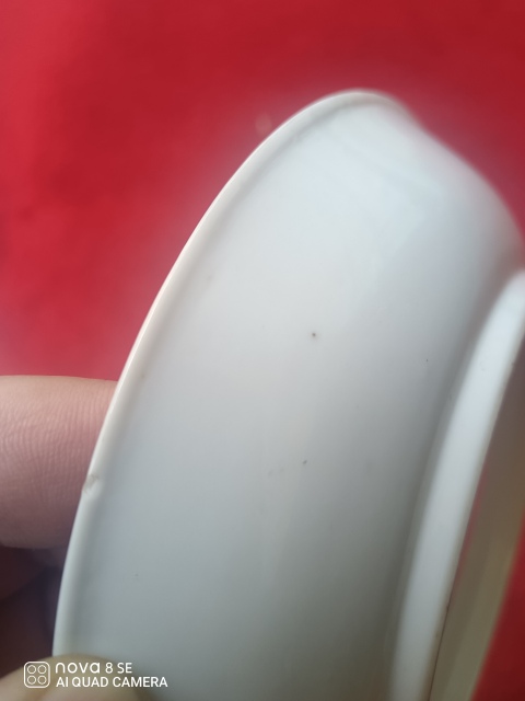 古玩陶瓷民國(guó)花鳥紋彩繪盤一對(duì)拍賣，當(dāng)前價(jià)格1000元