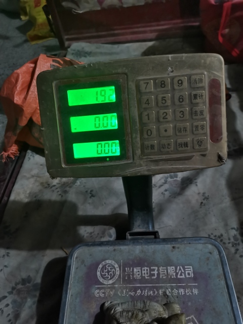 古玩玉器俄料和田玉新雕玉龜擺件，當鎮(zhèn)尺壓尺都，書房用品拍賣，當前價格4699元