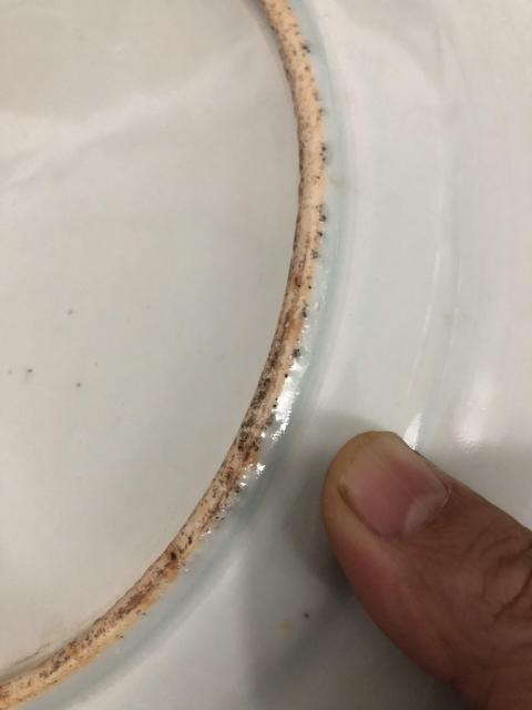 古玩陶瓷清中樓臺亭閣山水紋青花盤拍賣，當前價格2300元
