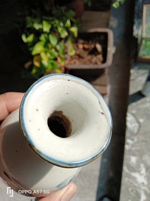 古玩陶瓷青花荷花紋瓶拍賣,當前價格1200元