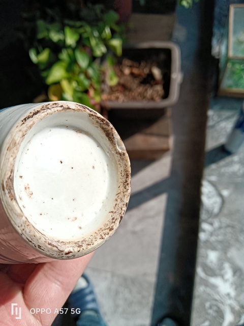古玩陶瓷青花荷花紋瓶拍賣,當前價格1200元