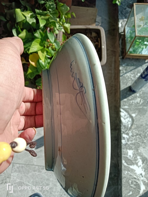 古玩陶瓷青花百壽紋盤拍賣，當(dāng)前價(jià)格3700元