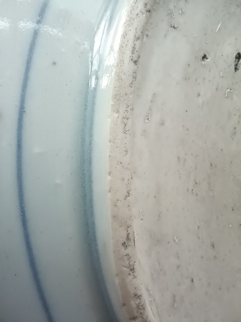 古玩陶瓷（虧出，不議價）清早期摩羯龍紋青花盤拍賣，當前價格1200元