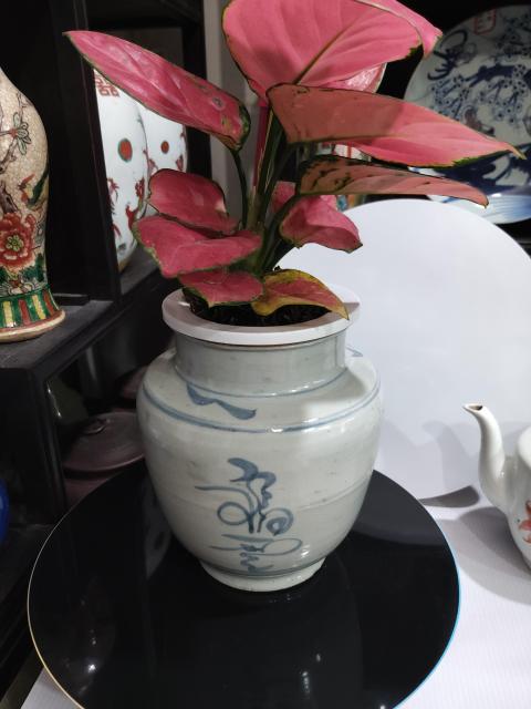 古玩陶瓷清代早期吉語紋青花罐拍賣，當前價格1288元