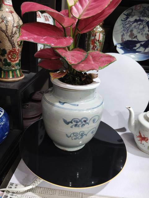 古玩陶瓷清代早期吉語紋青花罐拍賣，當前價格1288元
