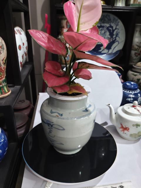 古玩陶瓷清代早期吉語紋青花罐拍賣，當前價格1288元