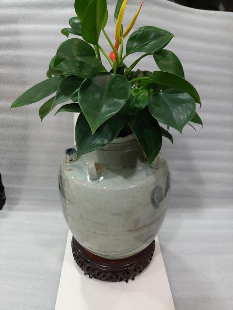 古玩陶瓷清代早期龍紋四系壺拍賣,當前價格988元