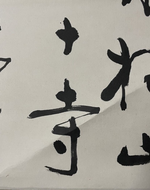 古玩字畫(隸書大師)胡振國書法立軸拍賣,當前價格568元