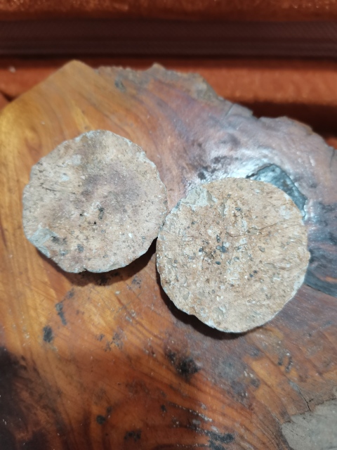 古玩陶瓷岳州窯青釉印龍紋鎮紙擺件拍賣，當前價格1600元