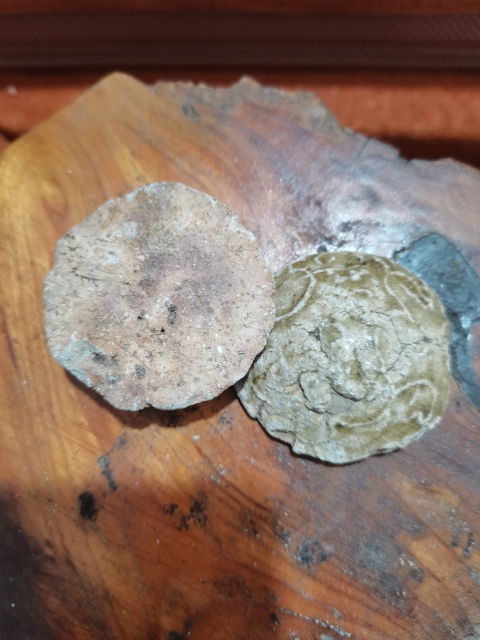 古玩陶瓷岳州窯青釉印龍紋鎮紙擺件拍賣，當前價格1600元