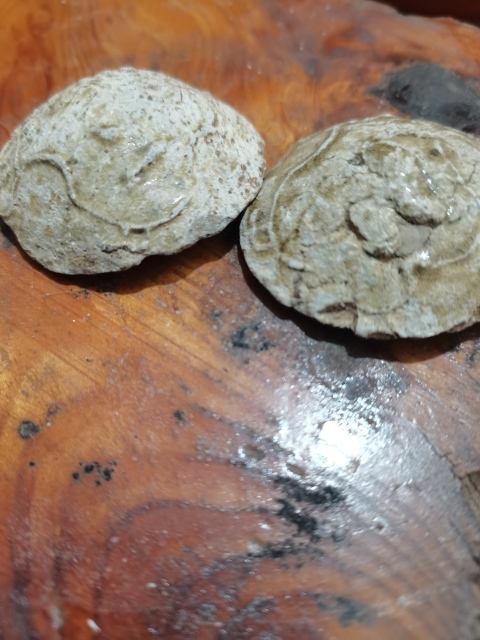 古玩陶瓷岳州窯青釉印龍紋鎮紙擺件拍賣，當前價格1600元