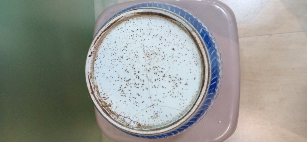 古玩陶瓷乾隆青花纏枝花卉紋粥罐拍賣,當前價格2800元