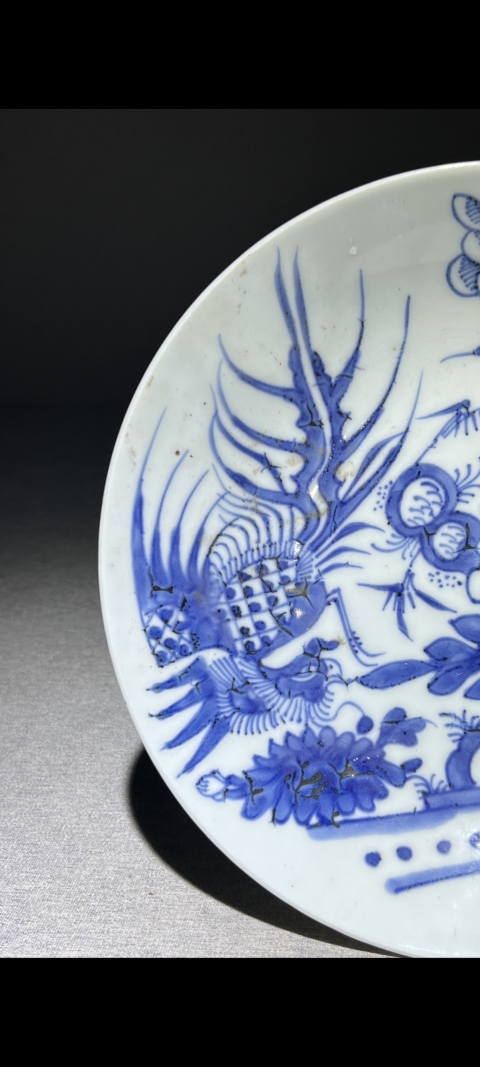 古玩陶瓷清中早·青花鳳凰牡丹紋盤真品鑒賞圖
