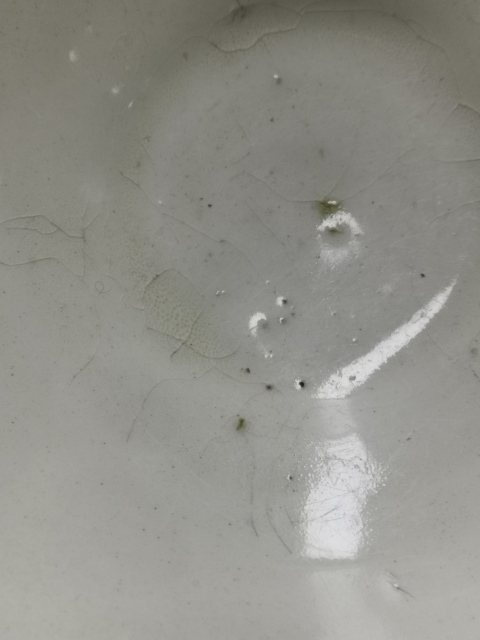 古玩陶瓷宋元磁州窯白釉碗拍賣，當前價格1555元