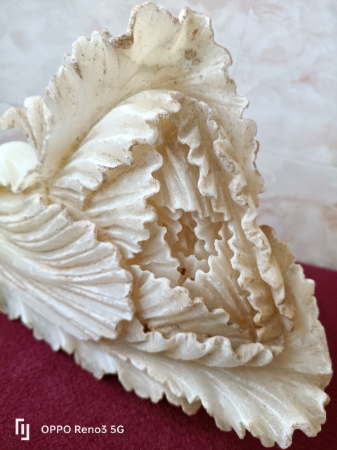 古玩雜項(xiàng)白菜拍賣,當(dāng)前價格980元