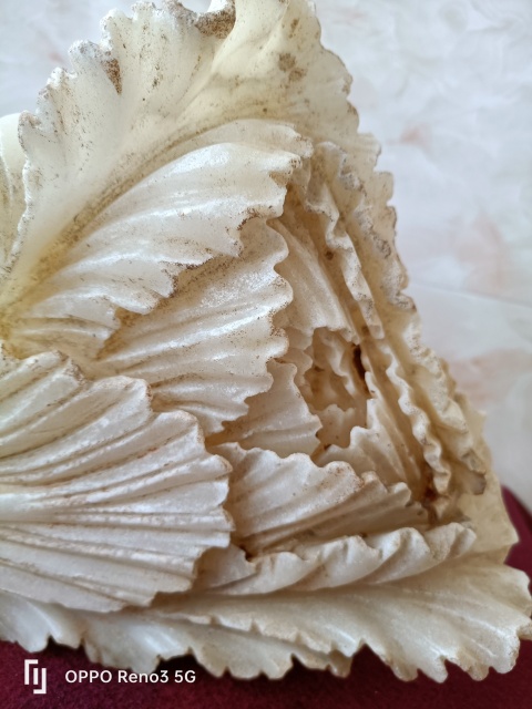 古玩雜項(xiàng)白菜拍賣,當(dāng)前價格980元