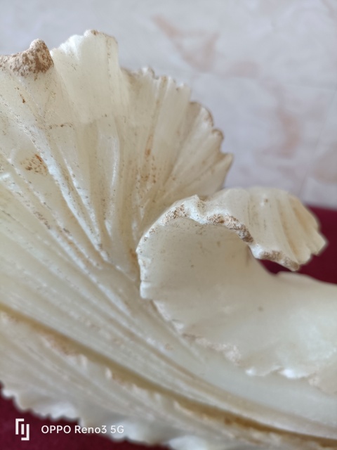古玩雜項(xiàng)白菜拍賣,當(dāng)前價格980元