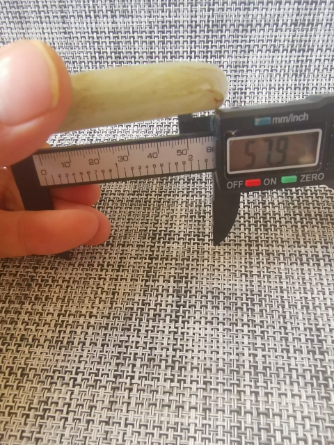 古玩玉器和田玉料手鐲。清代提油風格拍賣,當前價格2222元