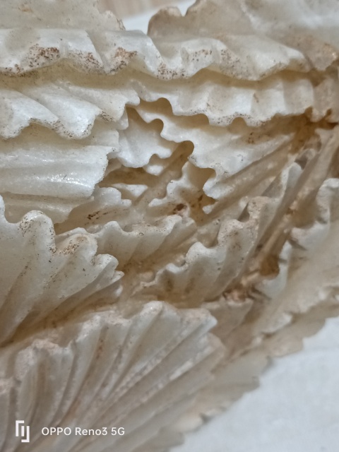 古玩雜項(xiàng)白菜拍賣,當(dāng)前價格980元
