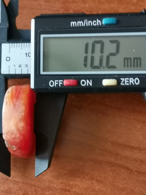 古玩玉器老瑪瑙龜背扁珠一枚拍賣，當前價格366元