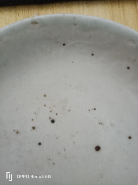 古玩陶瓷明?洪武白釉模印花卉紋盤拍賣，當前價格3500元