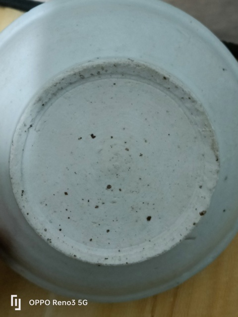 古玩陶瓷明?洪武白釉模印花卉紋盤拍賣，當前價格3500元