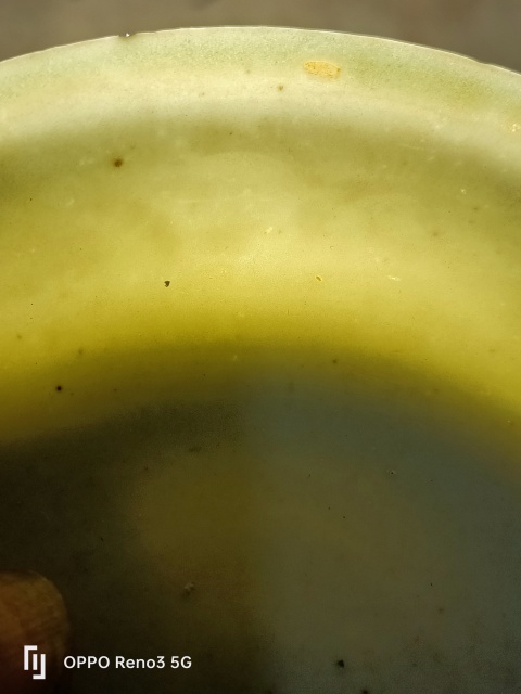 古玩陶瓷明?洪武白釉模印花卉紋盤拍賣，當前價格3500元