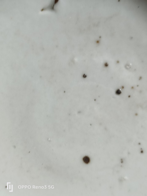 古玩陶瓷明?洪武白釉模印花卉紋盤拍賣，當前價格3500元