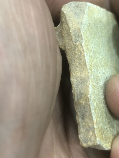 古玩陶瓷汝窯標本拍賣，當前價格6000元