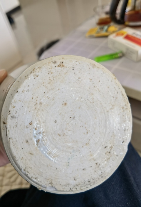 古玩陶瓷明中期糖罐拍賣，當前價格700元