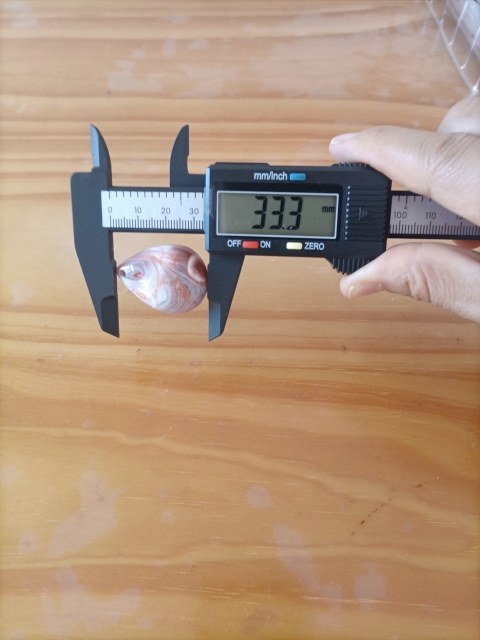 古玩雜項天然纏絲瑪瑙掛墜260拍賣，當前價格260元