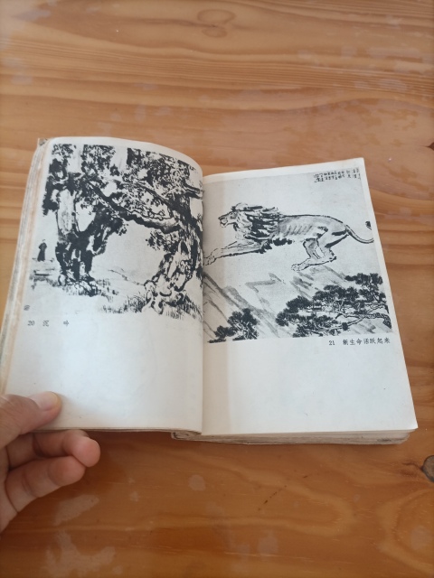 古玩字畫(huà)徐悲鴻書(shū)箱拍賣(mài),當(dāng)前價(jià)格380元