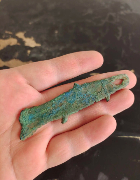 古玩錢幣先秦魚幣拍賣,當前價格1588元