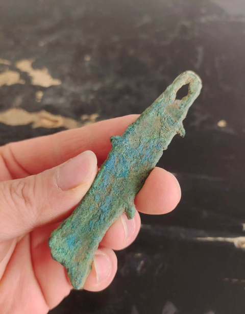 古玩錢幣先秦魚幣拍賣,當前價格1588元