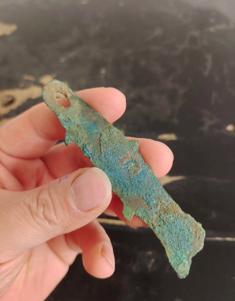 古玩錢幣先秦魚幣拍賣,當前價格1588元