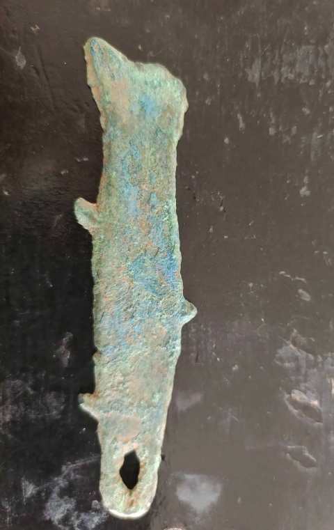 古玩錢幣先秦魚幣拍賣,當前價格1588元