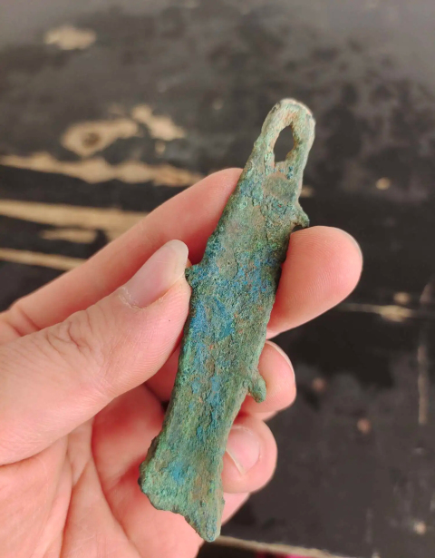 古玩錢幣先秦魚幣拍賣,當前價格1588元