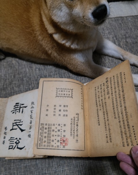 古玩字畫《飲冰室叢著》（蓋有梁啟超朱紅印章）拍賣，當前價格3980元