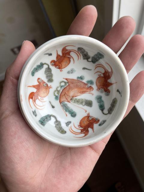 古玩陶瓷紅綠彩魚藻紋洗拍賣,當前價格4800元