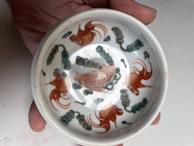 古玩陶瓷紅綠彩魚藻紋洗拍賣,當前價格4800元