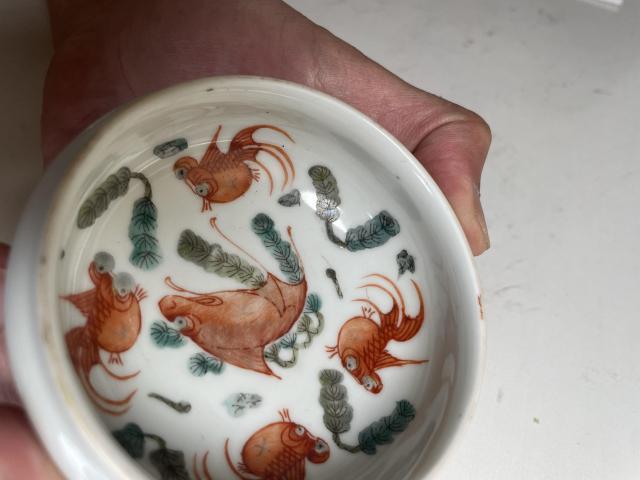 古玩陶瓷紅綠彩魚藻紋洗拍賣,當前價格4800元