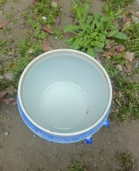 古玩陶瓷清中期青花淡描花卉紋粥罐拍賣，當(dāng)前價格3800元