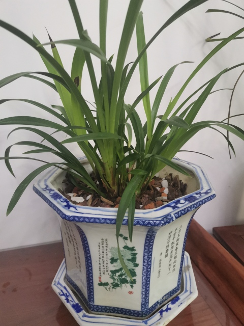 古玩陶瓷花盆拍賣，當前價格360元