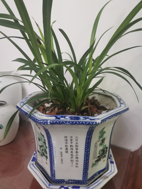 古玩陶瓷花盆拍賣，當前價格360元