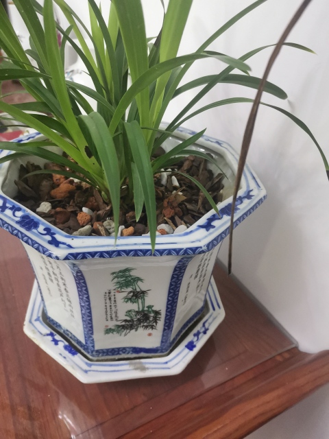 古玩陶瓷花盆拍賣，當前價格360元