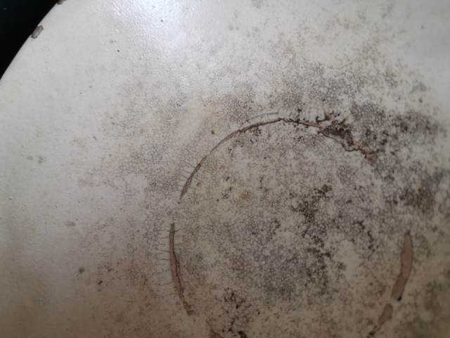 古玩陶瓷元代,磁州窯白釉碗拍賣,當前價格999元