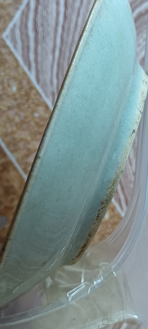 古玩陶瓷清中期～豆青釉盤拍賣，當前價格298元