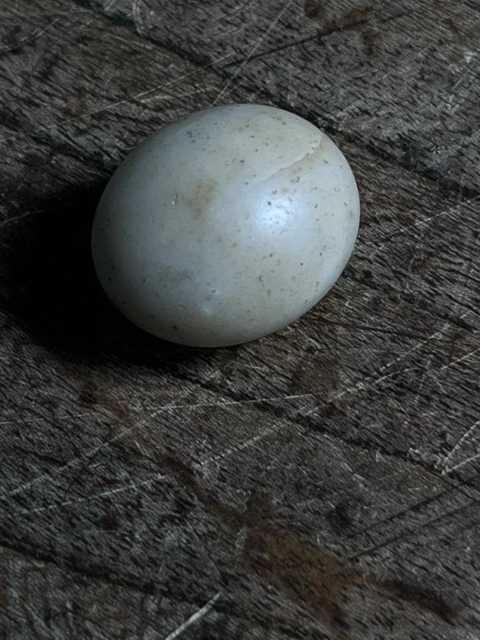 古玩陶瓷隋唐.滑石蛋【三星堆同款】拍賣，當前價格1000元