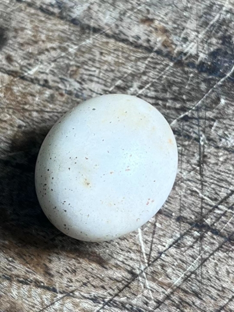 古玩陶瓷隋唐.滑石蛋【三星堆同款】拍賣，當前價格1000元
