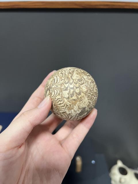 古玩陶瓷唐代絞胎步打球捶丸【域鑒實物鑒定】拍賣,當前價格8888元